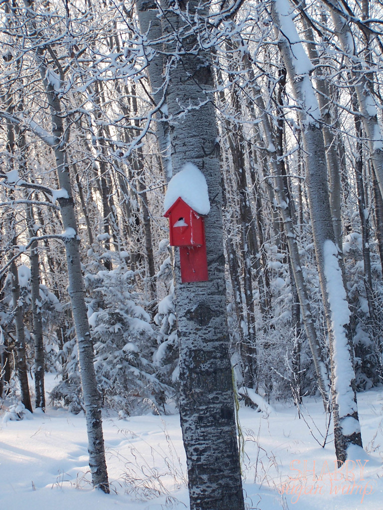 winter birdhouse