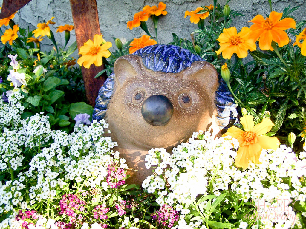 hedgehog in flowers1